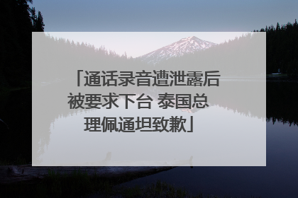 通话录音遭泄露后被要求下台 泰国总理佩通坦致歉